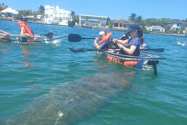 Clear Kayak Glass Bottom Day Tour - Anna Maria Island - Photo 1 of 5